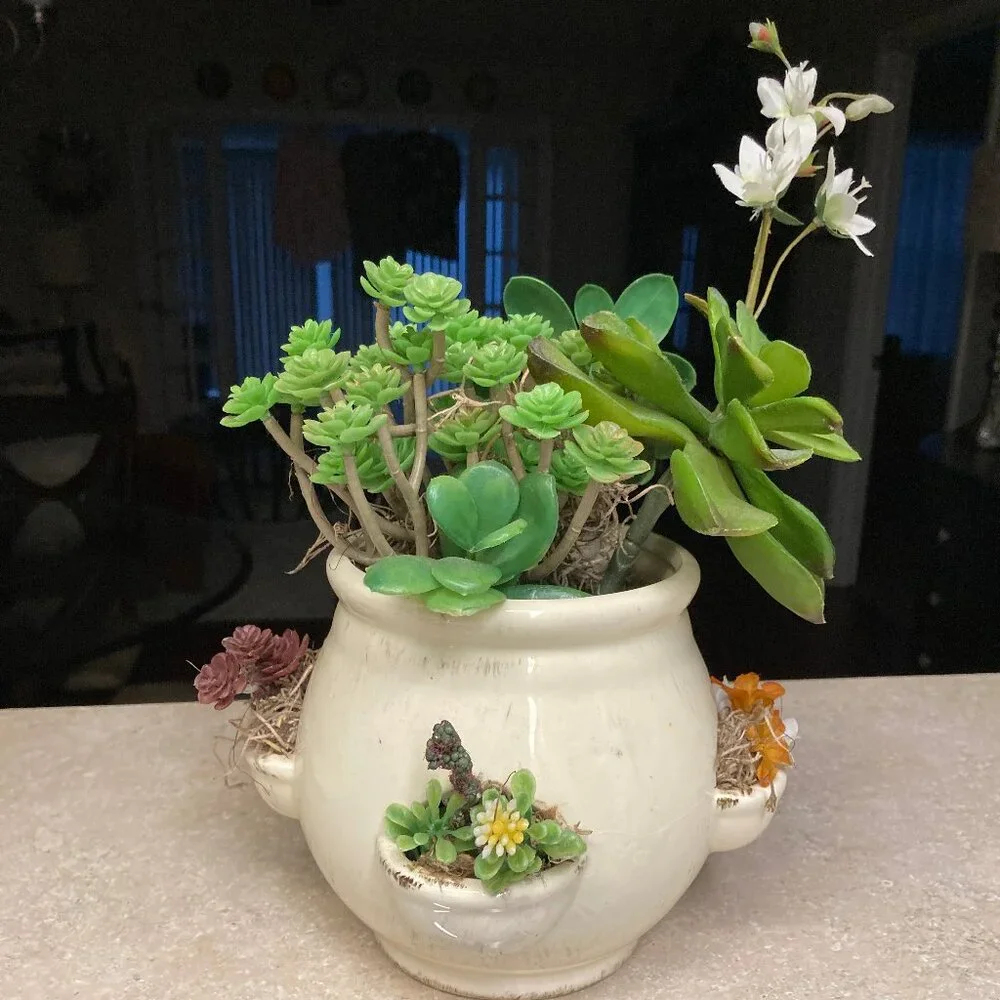 Cream Ceramic Pot wit Artificial Succulent Plants